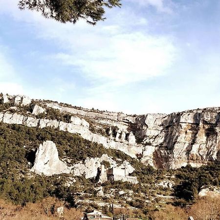 Vue Panoramique Sur Le Chateau,Montagne Et Grottes Fontaine-de-Vaucluse Exterior foto